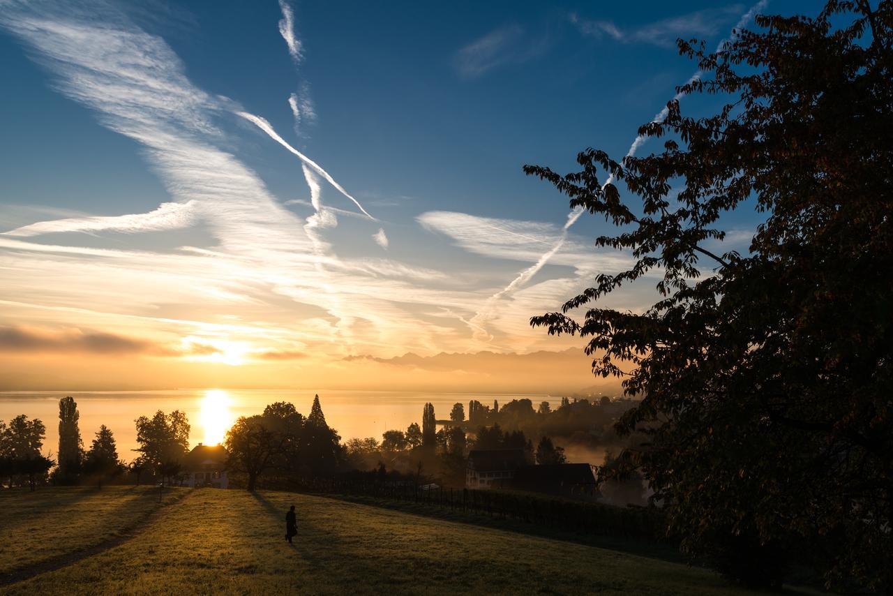 Hotel Landgasthof Halbinsel Au Wädenswil Zewnętrze zdjęcie